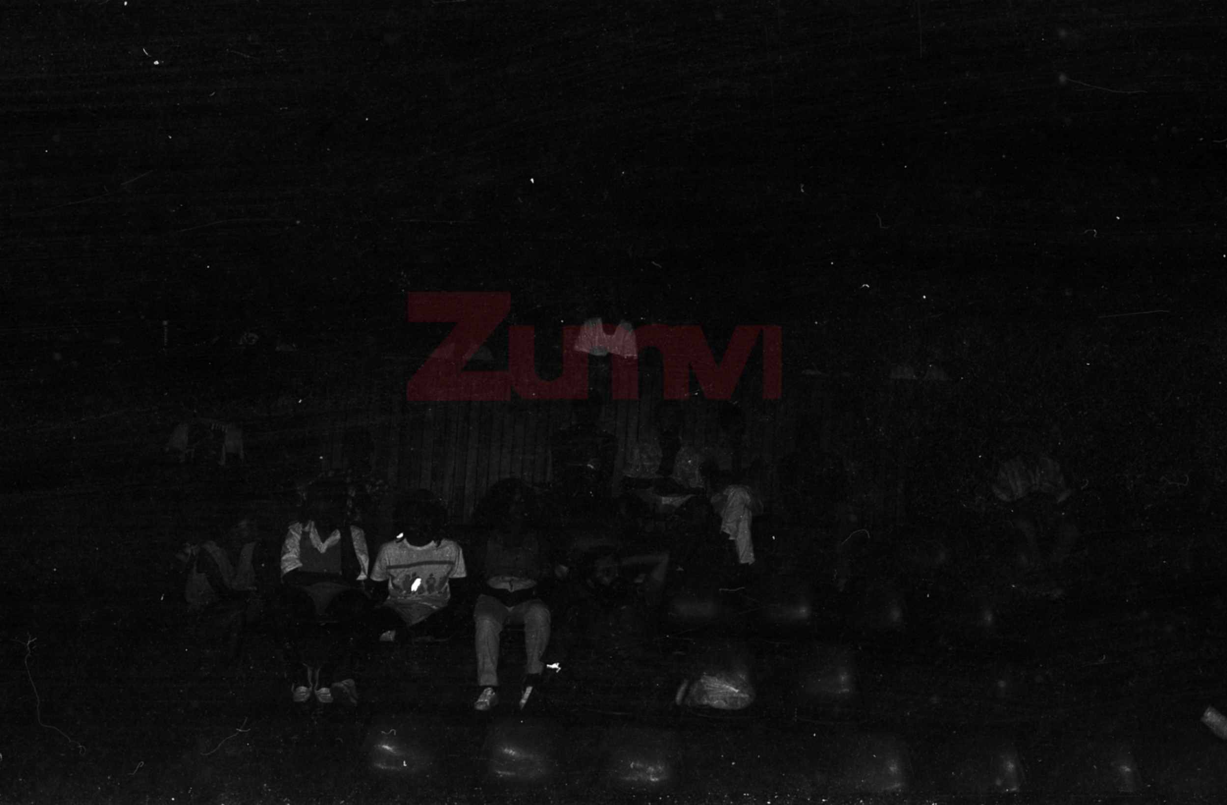 ZFGM238