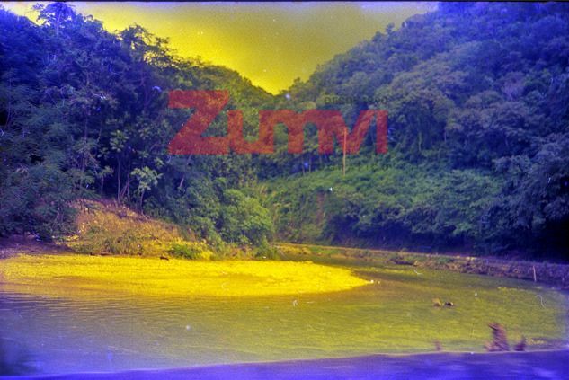 ZFGM89