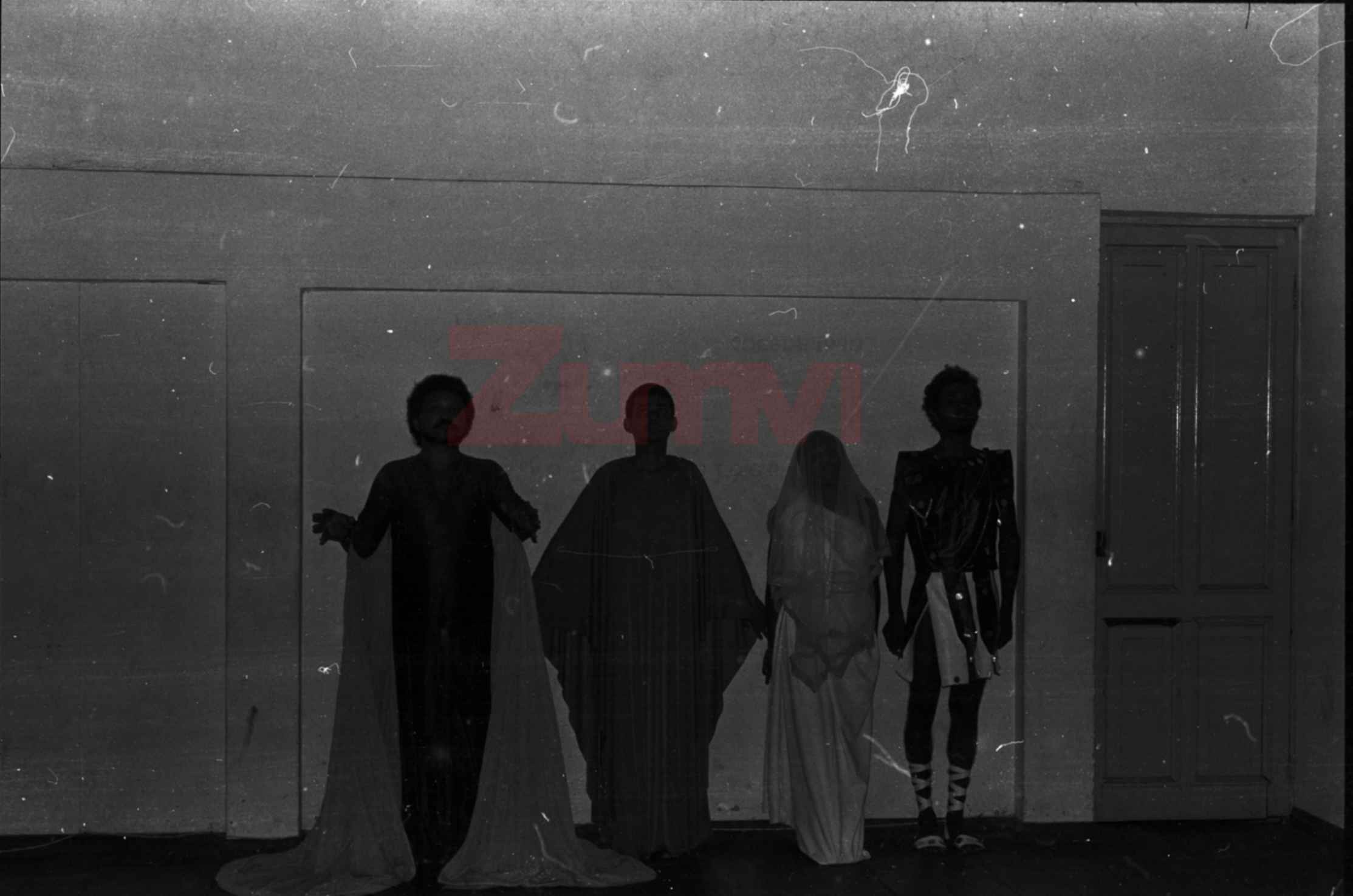 ZFGM233