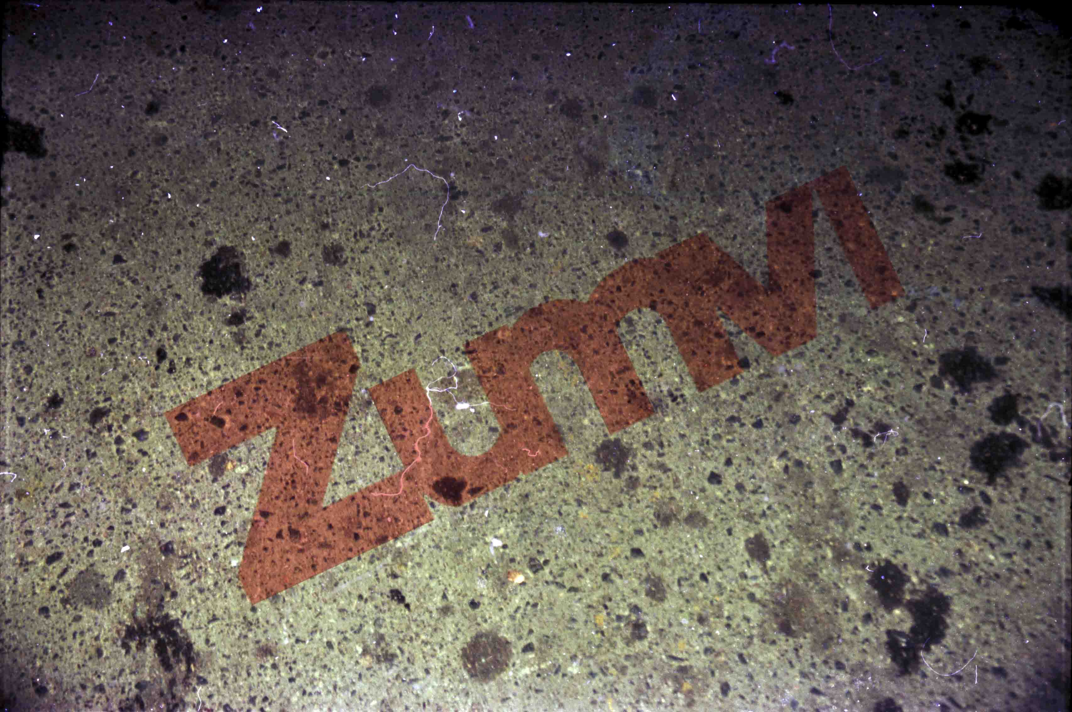ZFLR1602 copiar