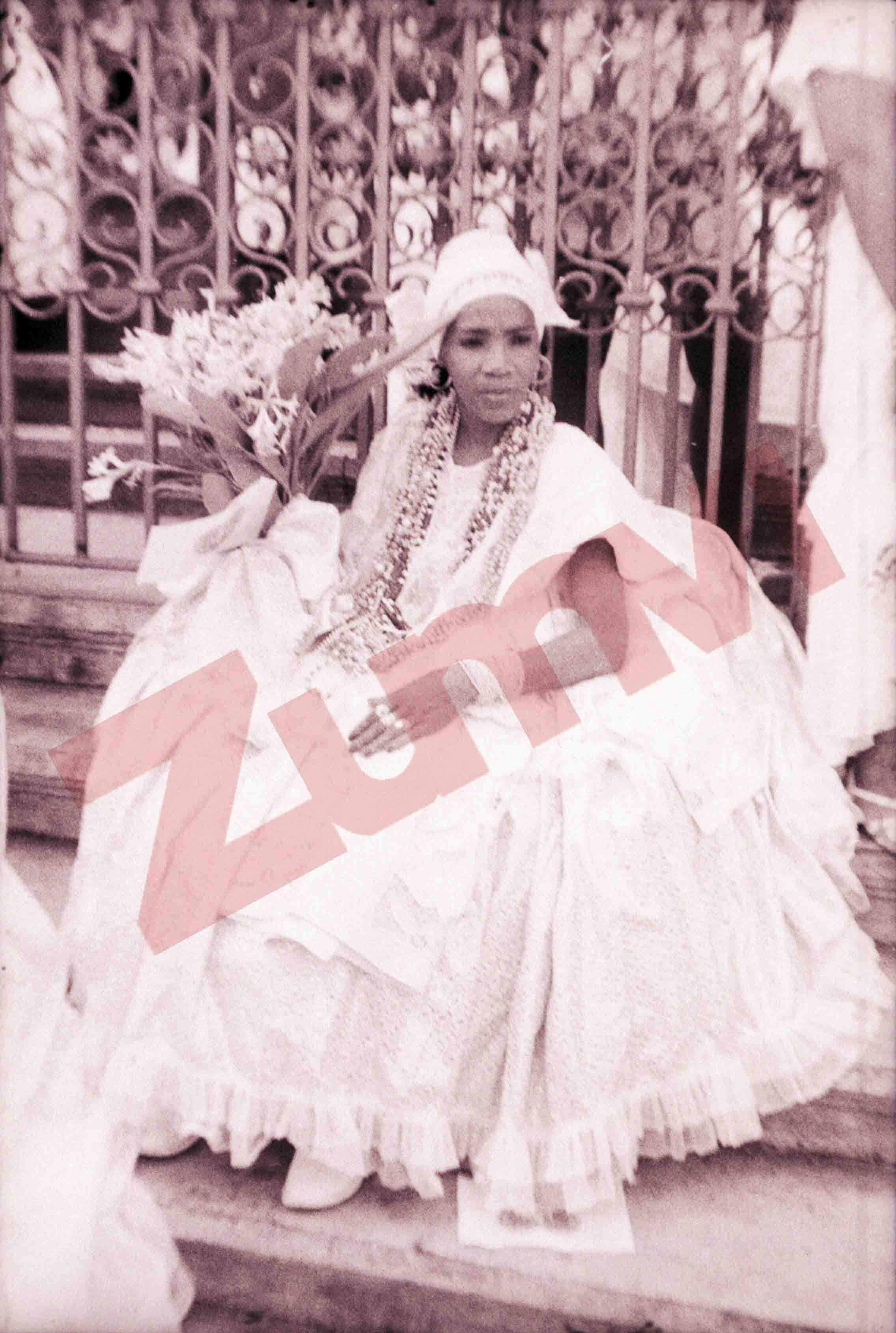 ZFLR3588