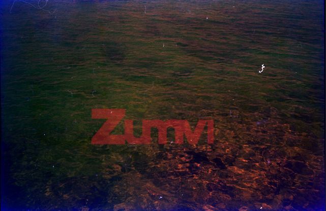 ZFGM71