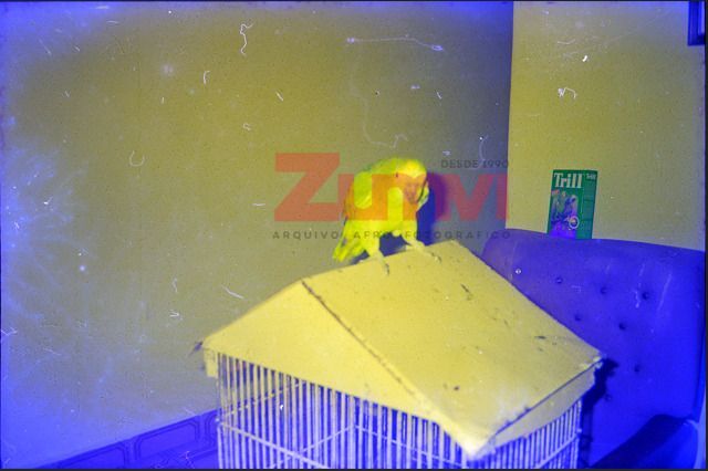 ZFGM51