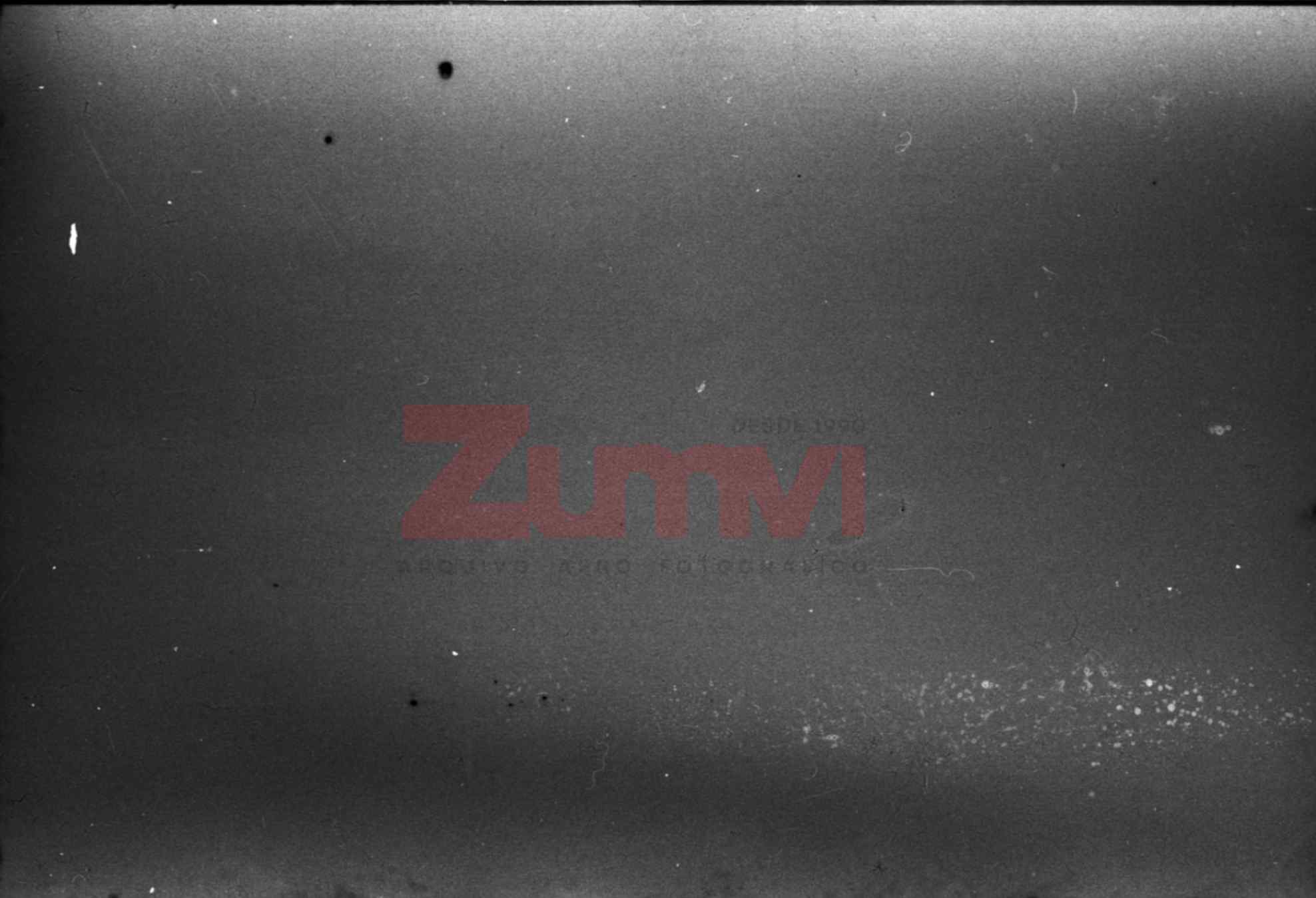ZFGM135