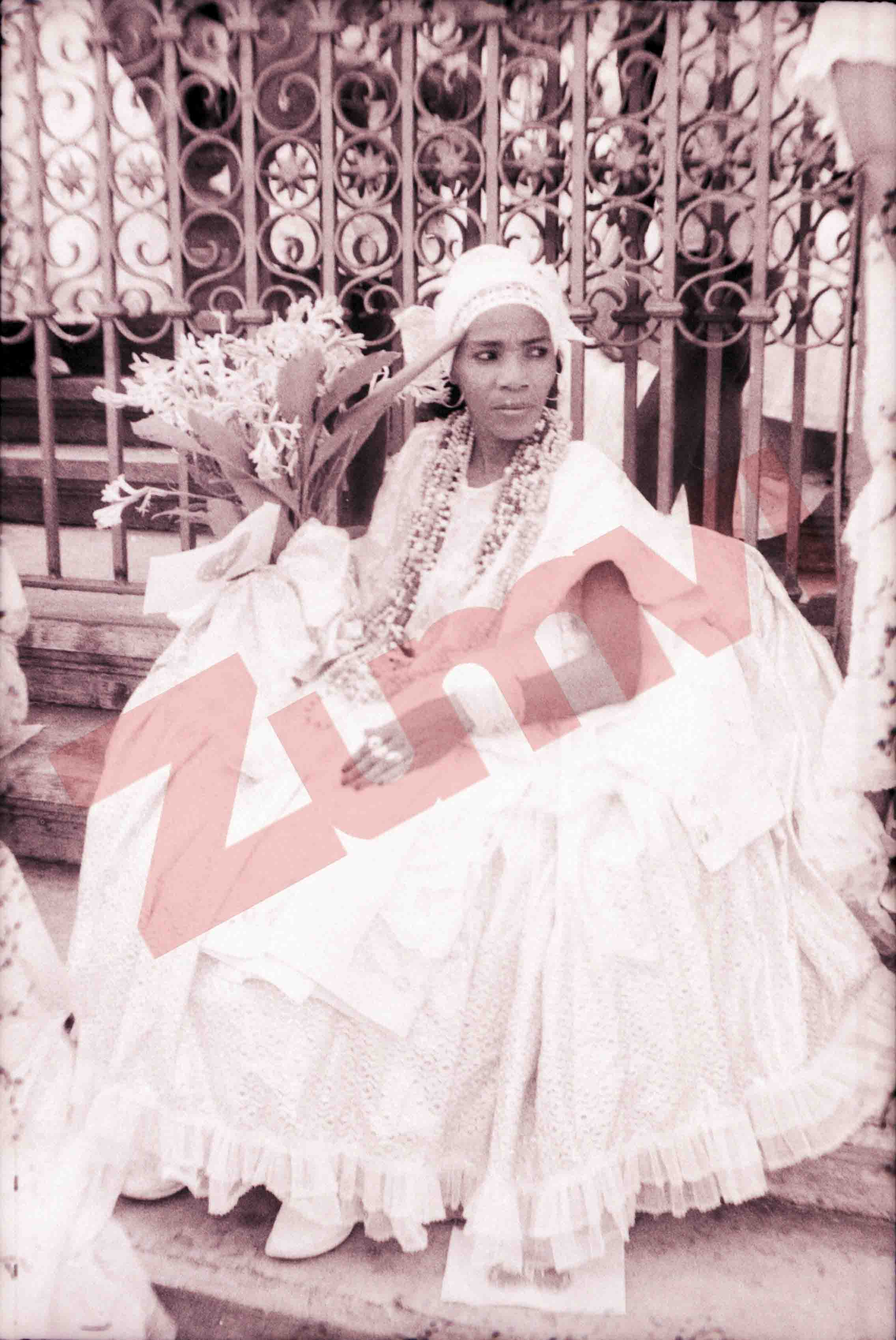 ZFLR3589